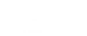 logo_rede_vida
